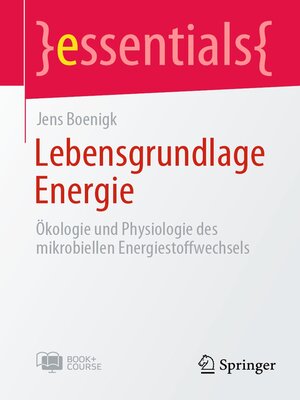 cover image of Lebensgrundlage Energie